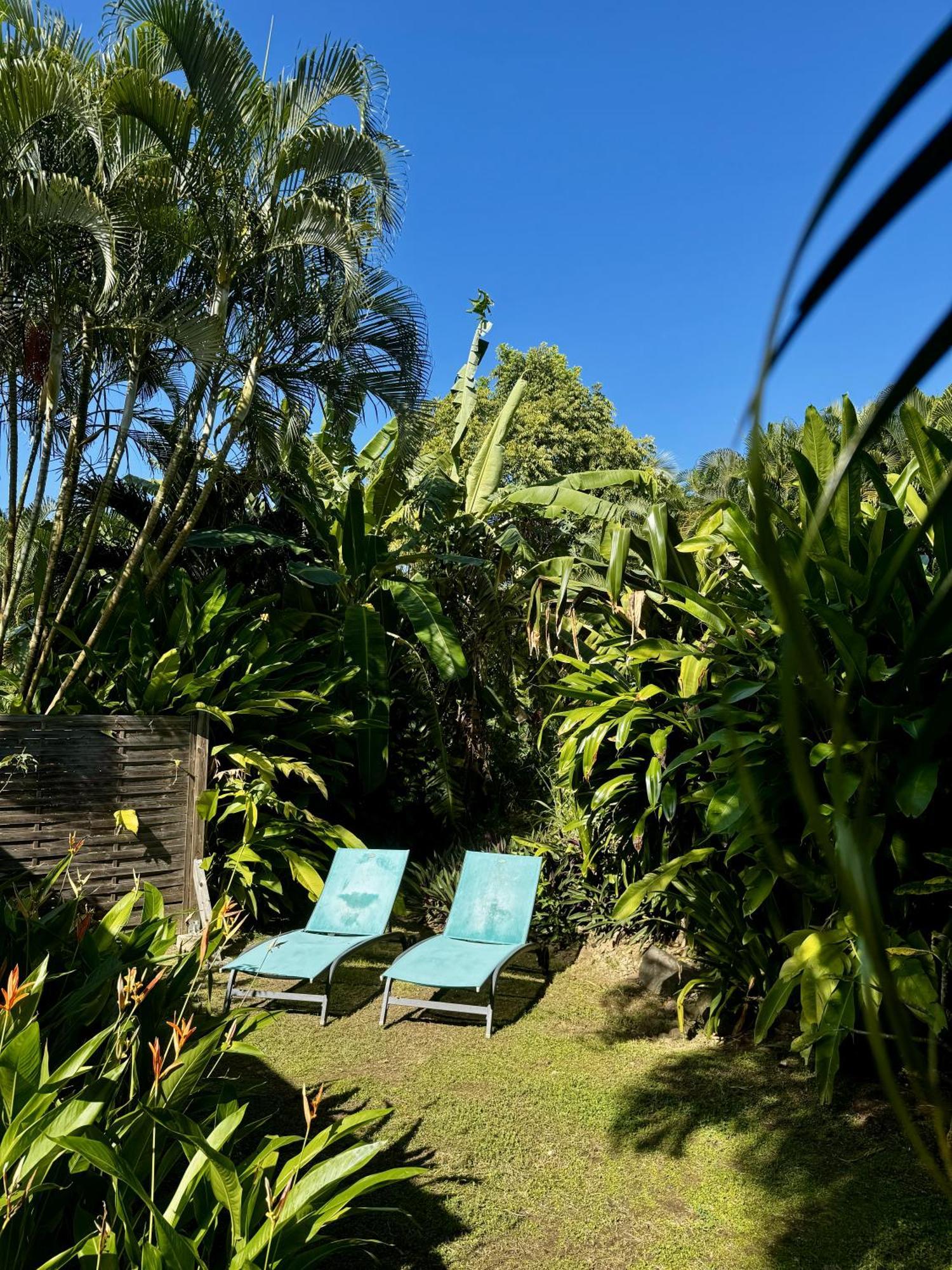 Baz Creole Villa Deshaies Luaran gambar